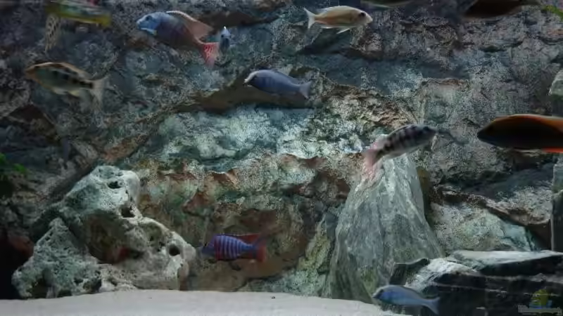 Kurz vorm schlafen gehen - 11Watt Beleuchtung von MalawiEder (15)