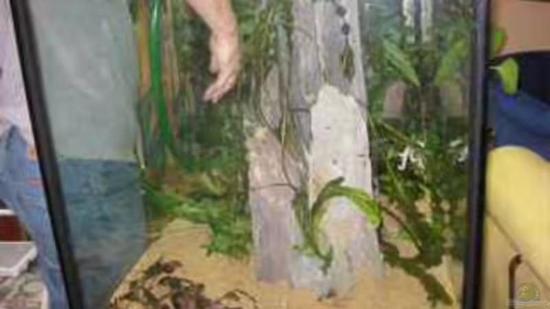 KURZ VORM W??SSERN von Vera Herrlich (11)