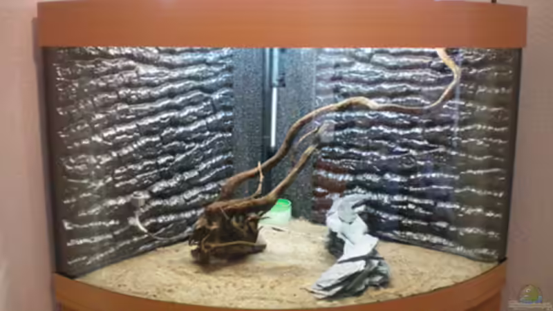 kurzer Einblick auf das Gesamtbild, mit Nährboden von Thomas Ahrens (27)