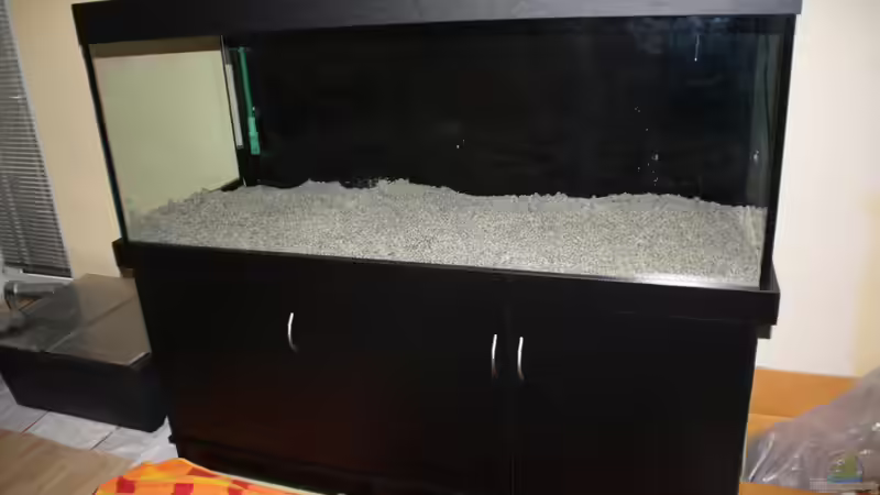 kurzer Zwischenstand von Sunny73 (4)