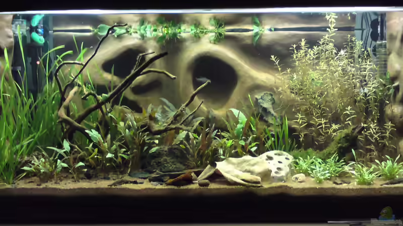 KW 37 2010 von bluestime (5)