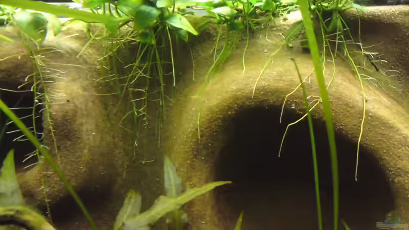 KW 47 2010 von bluestime (10)