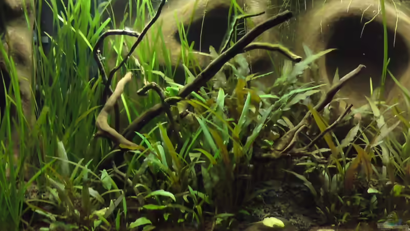 KW 47 linke Seite 2010 von bluestime (7)