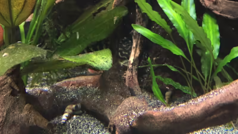 L 134 von Danny (54)