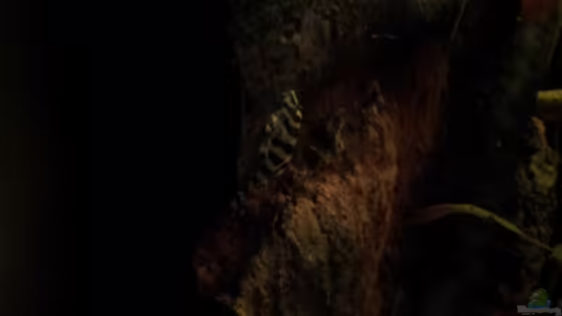 L 134 von Michael Scheffler (48)