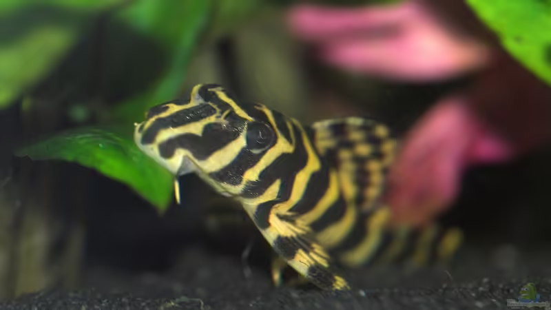 L 134 von Olaf D. (29)