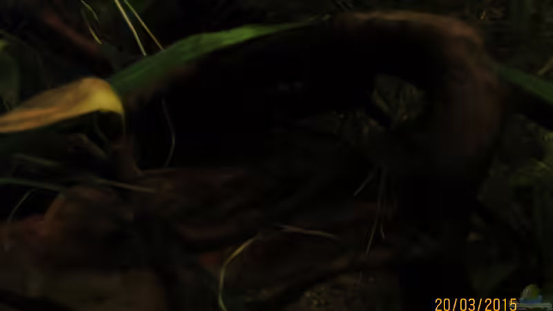 L 15 von SimonHB (11)