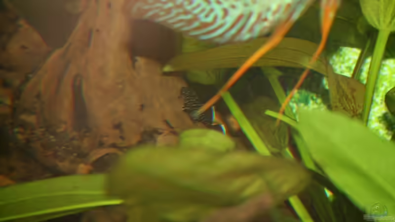 L 181 von Steffen Rübsam (33)