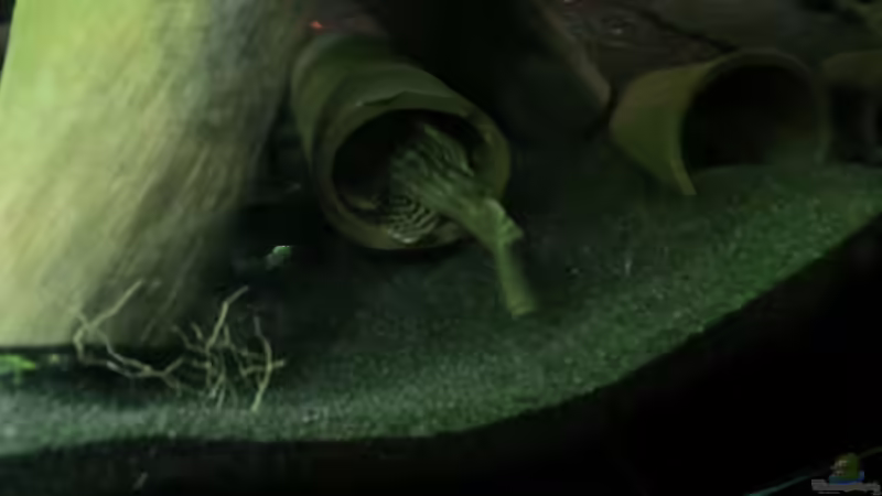 L 333 in Höhle von Jan S. (23)