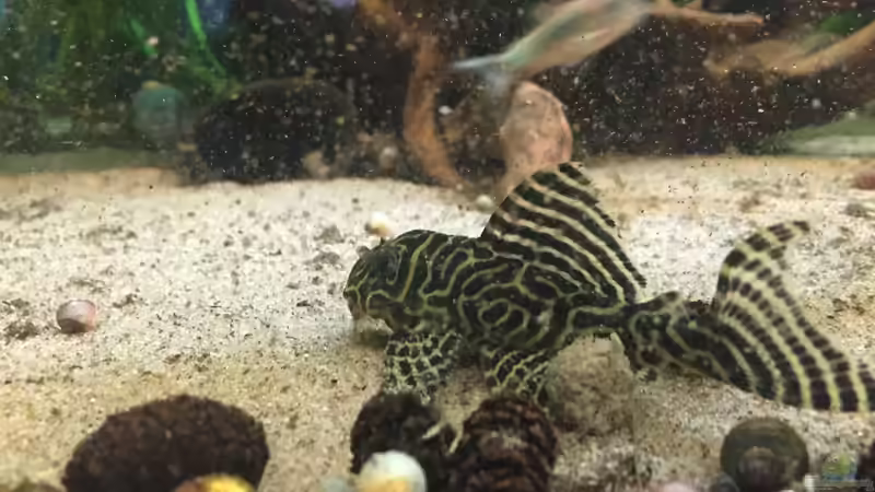 L 400 von Marcus Lucke (25)