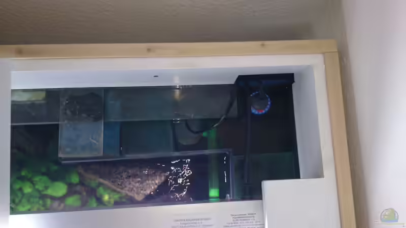 L-förmig aufgebauter Innenfilter mit Schaumstoffblöcken( Mittel) der Jäger-Heizstab befindet sich in der Klarwasserkammer  von Sven 76 (4)