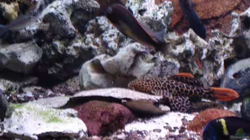 L114 von Michael Niedermeier (8)