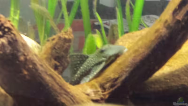 L128 von Tobias Zelzer (46)