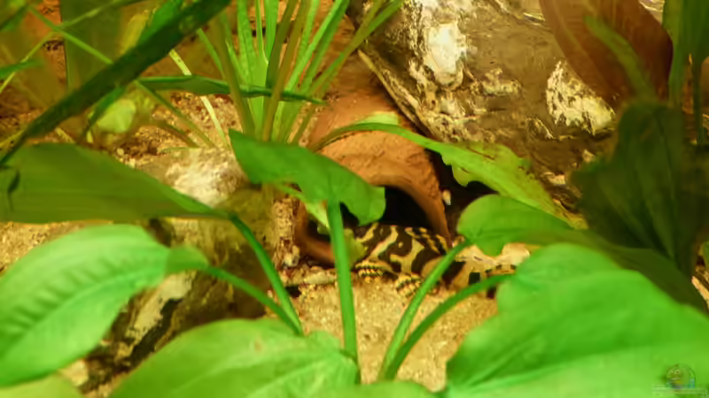 L134 am 03.01.12 von ~Marco~ (53)