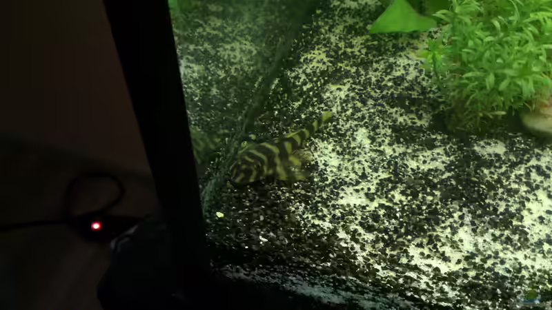 l134 glaub ich :) von Franz Napf (24)