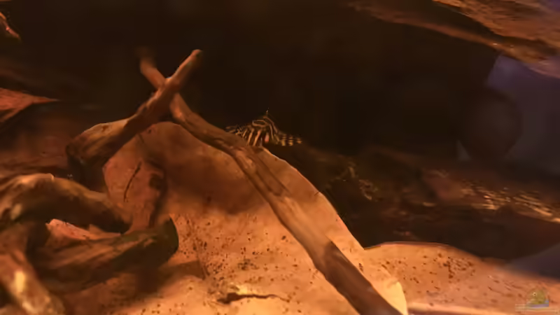 L134 von Raven887 (58)