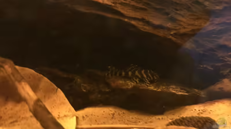 L134 von Raven887 (59)