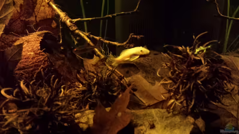 L144 beim Erkunden von NRW (21)