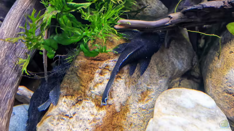 L183 September 2020 von ~Marco~ (58)