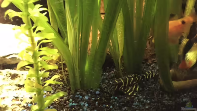 L333 von Marius Stößer (95)