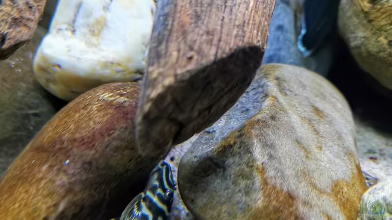 L340 September 2020 von ~Marco~ (59)