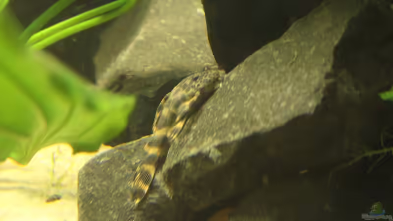 L387 von Tim E. (20)