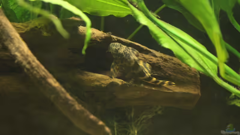 L387 von Tim E. (21)