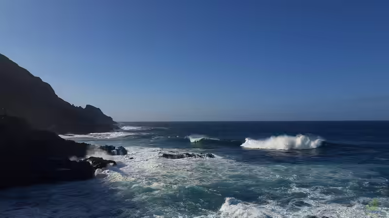 La Palma - Die kanarische Insel für Terrarianer