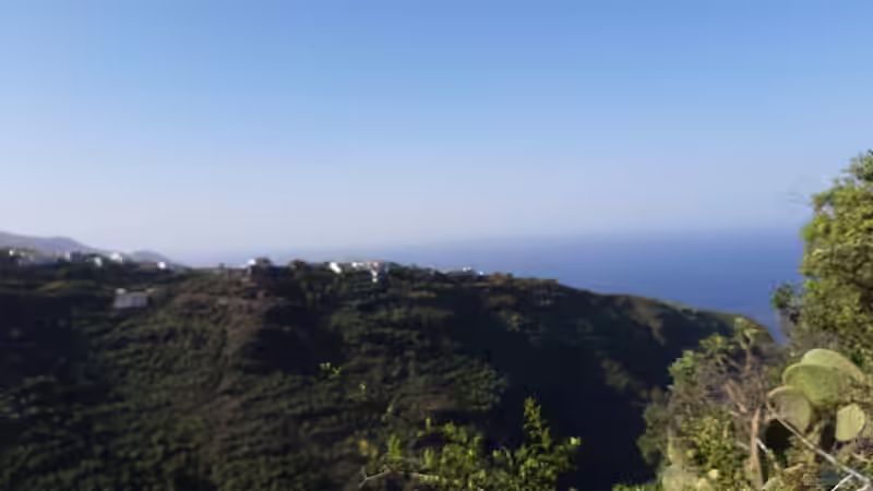 La Palma - Die kanarische Insel für Terrarianer