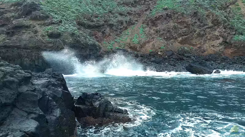 La Palma - Die kanarische Insel für Terrarianer
