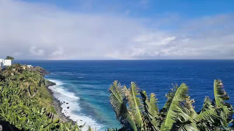 La Palma - Die kanarische Insel für Terrarianer