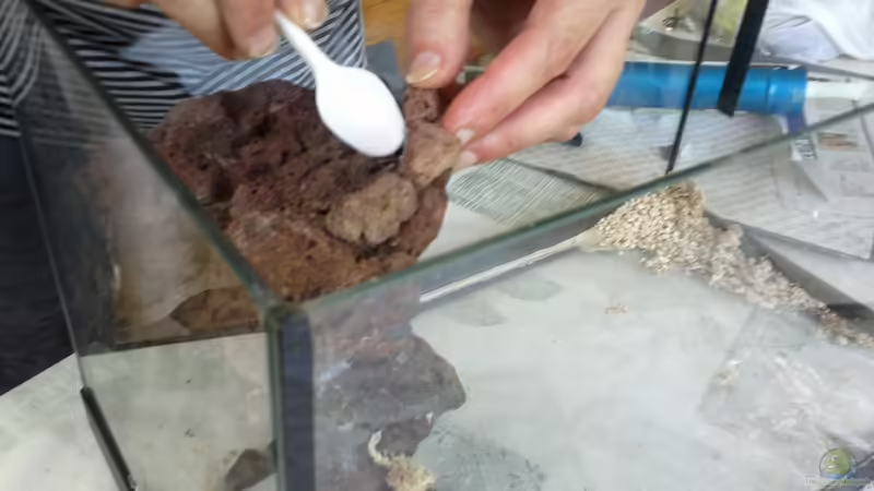 La pedra superior de la paret lateral, han estat repujada, amb pedres petites per von lomarraco (80)