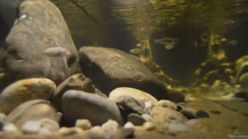 Längsansicht von David Breuers (6)