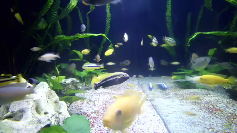 ^längsseite von Markus Fressner (4)