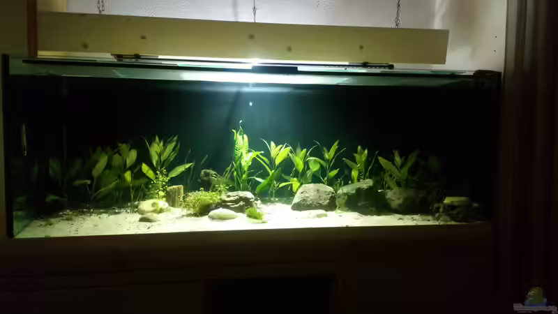 Läuft 1Woche von Stocker (2)