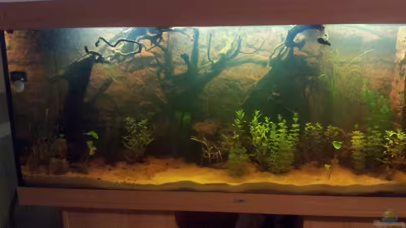 Läuft seit 4 Wochen ohne Besatz von Hans Lonzeck (20)