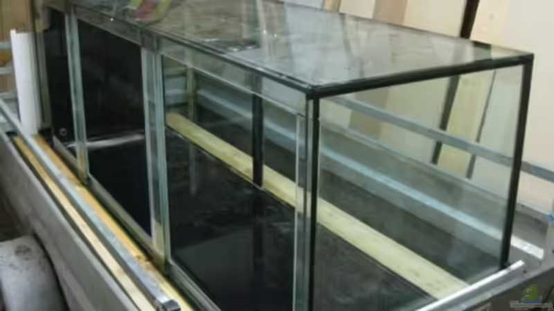 Lagerung von Dominik Steigewald (9)