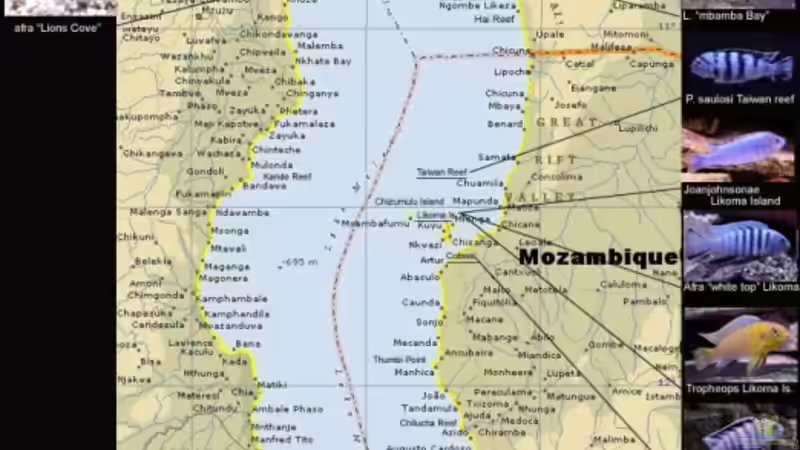 Lake Malawi von Wimmer Jürgen (14)