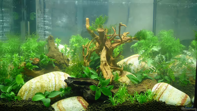 Lake Rainbow Aufbau Bild 11 von mike1963 (14)