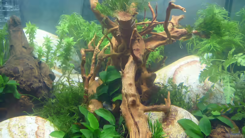 Lake Rainbow Aufbau Bild 12 von mike1963 (15)