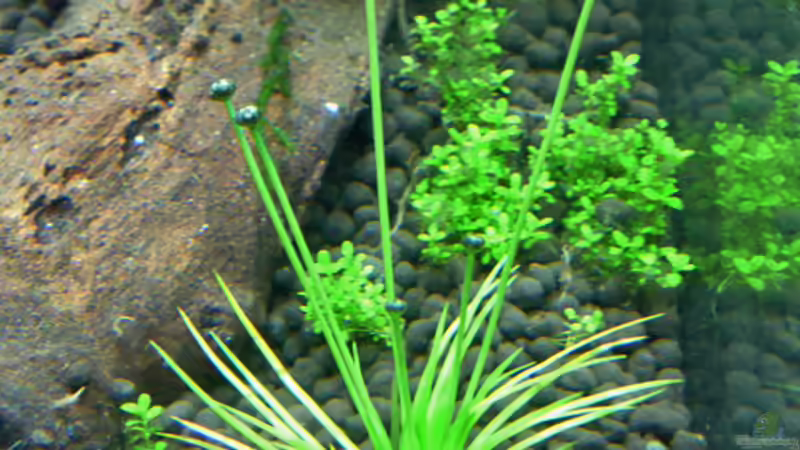 Lake Rainbow Aufbau Bild 16 von mike1963 (20)