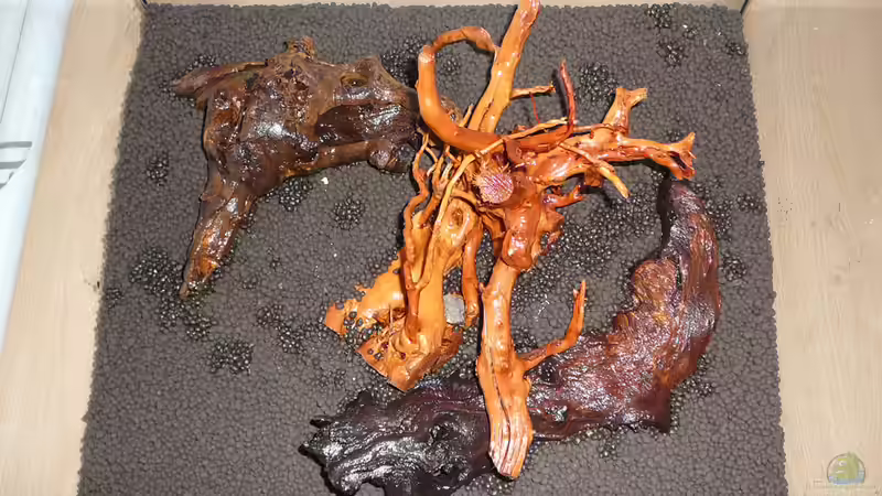 Lake Rainbow Aufbau Bild 6 von mike1963 (22)