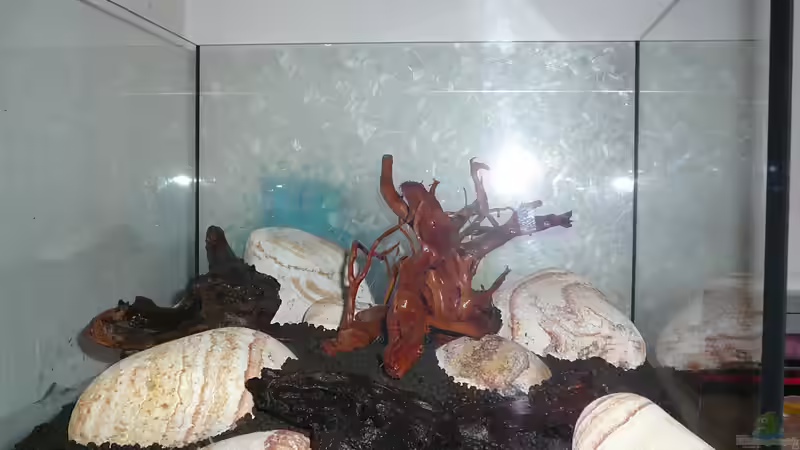 Lake Rainbow Aufbau Bild 7 von mike1963 (23)