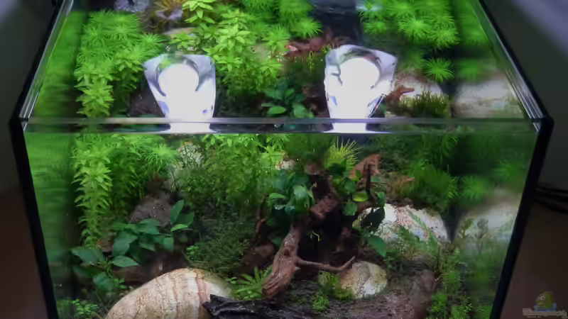 Lake Rainbow Draufsicht von mike1963 (10)