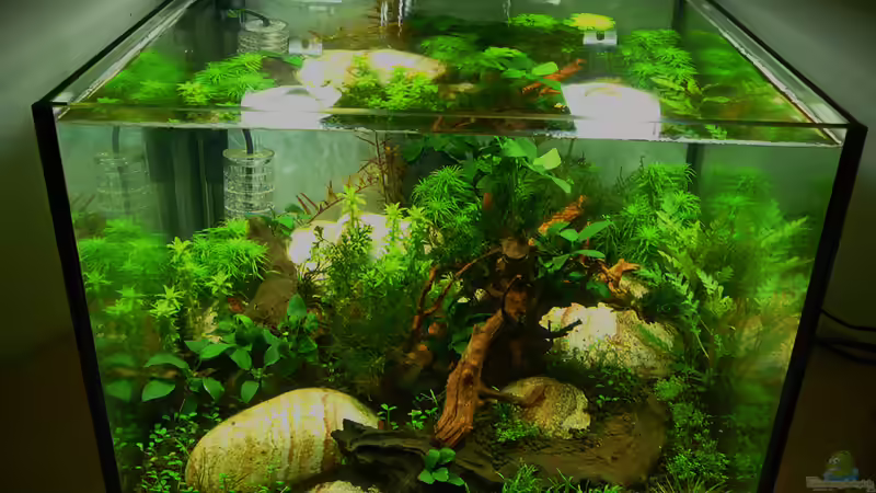 Lake Rainbow Technik von mike1963 (27)