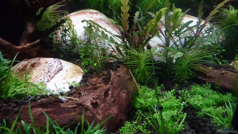 Lake Rainbow von mike1963 (21)