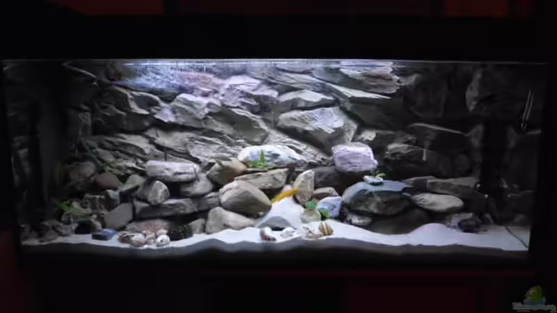 Lake Tanganjika von Angelheart (1)