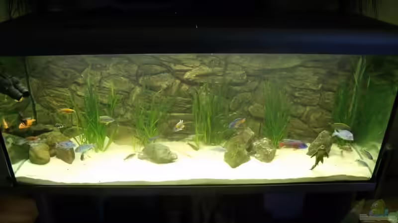 lake wohnzimmer von Dominic 1988 (1)