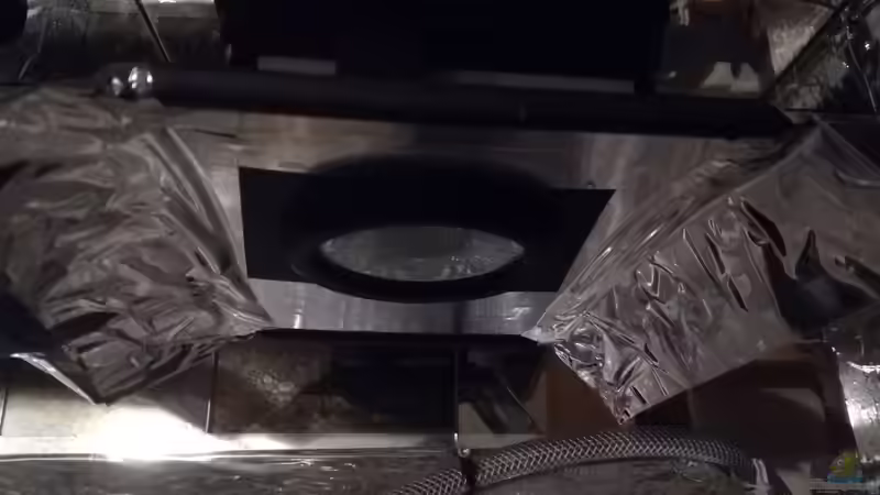 Lampe Nahaufnahme  von Bermuda 3eck (41)