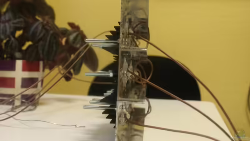 Lampe von der Seite von chrisi01 (13)